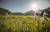 Wandern im Chiemgau