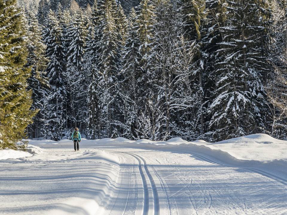 Langlaufloipe verläuft vor verschneiten Tannen, weiter hinten steht eine Dame mit Rucksack