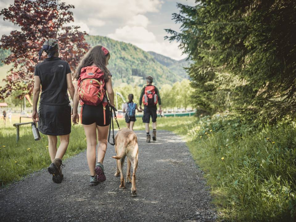 Nahaufnahme von hinten von einer Frau, einem Mädchen und einem Hund auf dem Waldweg beim Wandern in ihrem Sommerurlaub in Bayern