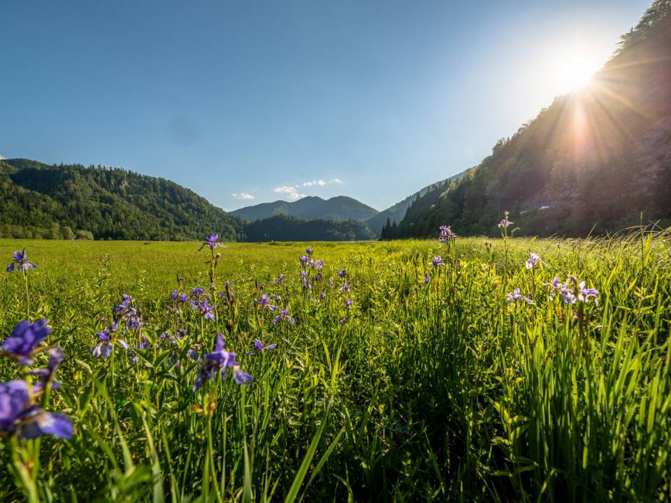 Naturaufnahme nahe des Wanderhotels in Bayern