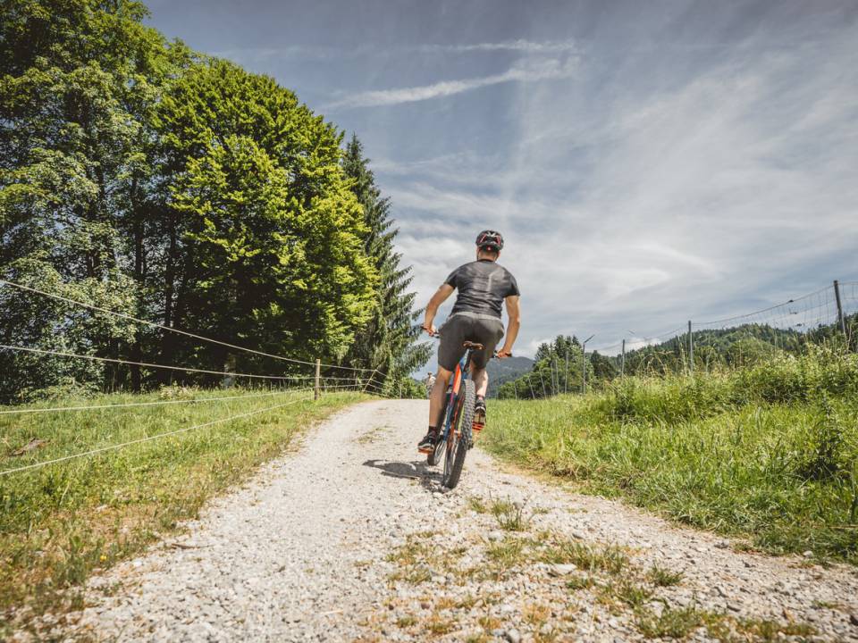 Ein Radfahrer beim Radurlaub in Reit im Winkl in Bayern