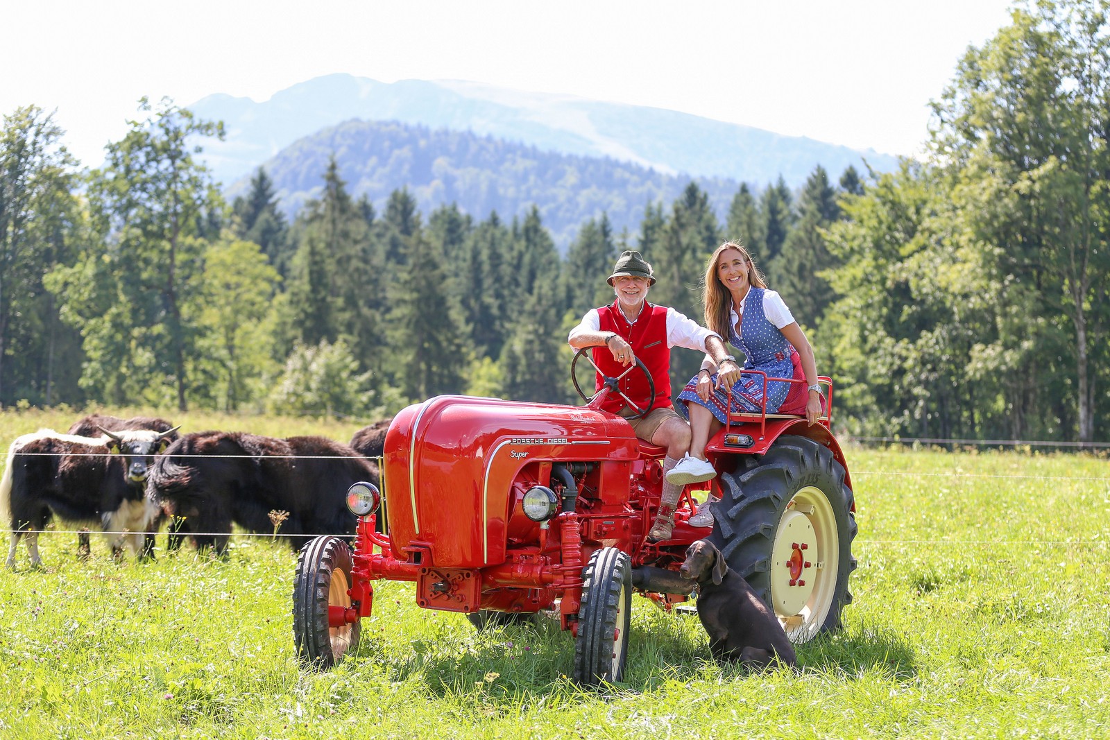 Mann und Frau in Tracht sitzen auf einem roten Traktor, der neben einer Kuhweide steht