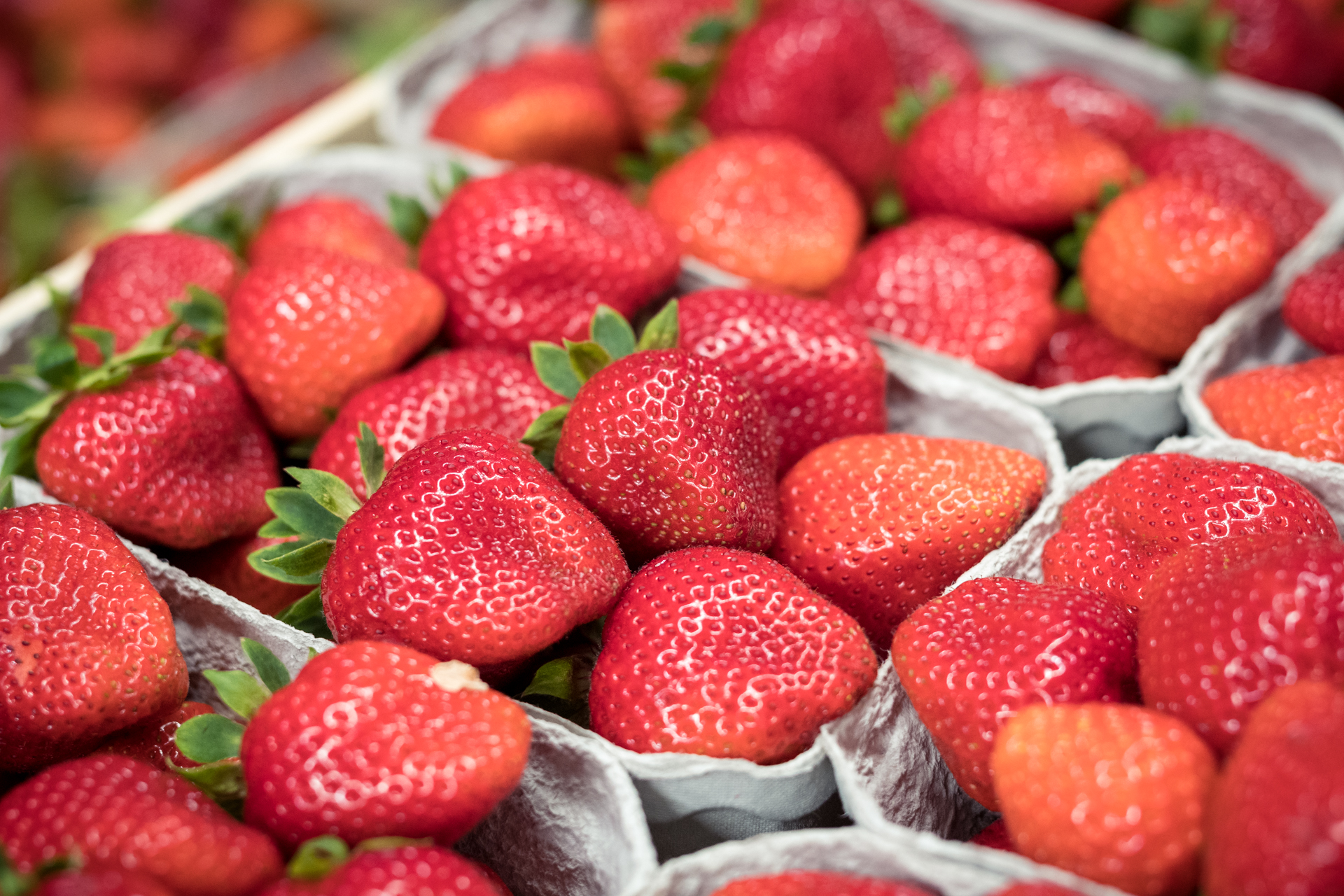 Viele Erdbeerschalen stehen eng beisammen und sind gefüllt mit saftig-roten Erdbeeren