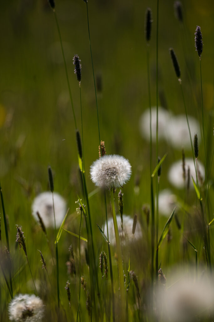 Gut Steinbach Mai 2025 © Tobias Hertle 9695